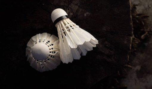 Badminton Lessons Dynamic Websites Design Singapore