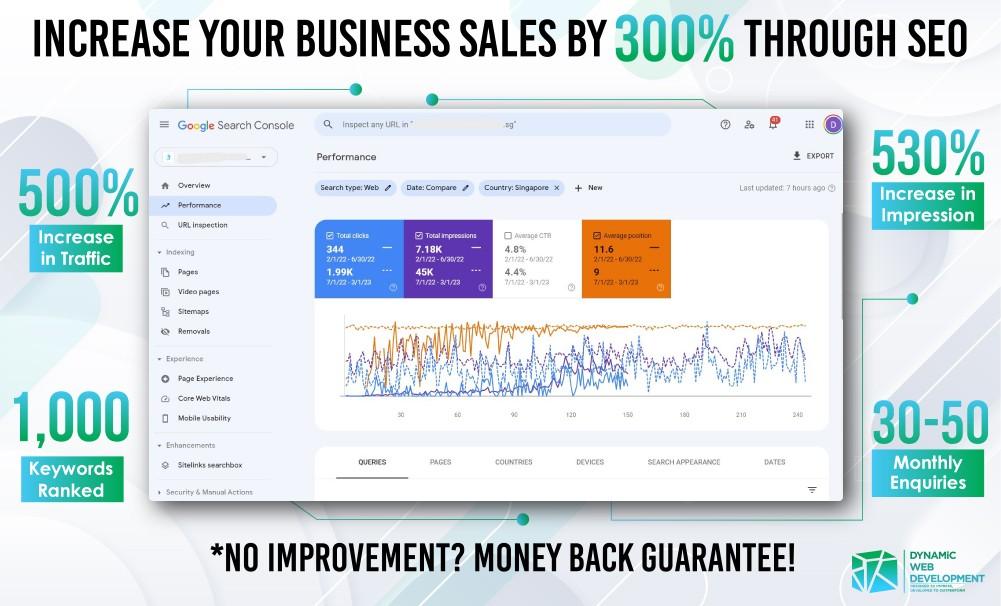 Dynamic Web Development Seo Services Singapore