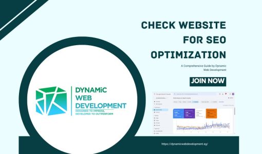 Check Website For Seo Optimization