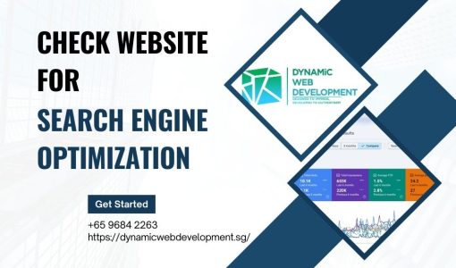 Check Website For Search Engine Optimization A Comprehensive Guide