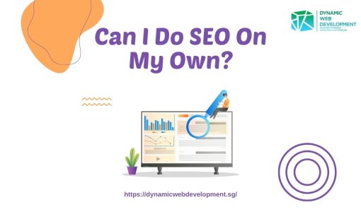 Can I Do Seo On My Own