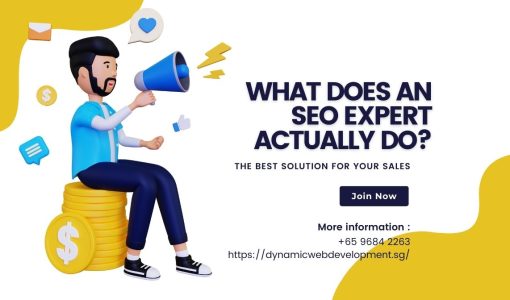 What Does An Seo Experts Actually Do